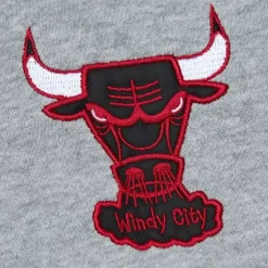 Men Mitchell & Ness Hoodies & Sweatshirts-Head Coach Hoodie Chicago Bulls
