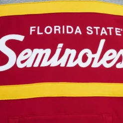 Men Mitchell & Ness Hoodies & Sweatshirts-Head Coach Hoodie Florida State University