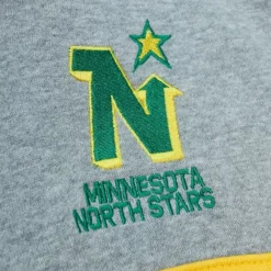 Men Mitchell & Ness Hoodies & Sweatshirts-Head Coach Hoodie Minnesota North Stars