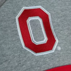 Men Mitchell & Ness Hoodies & Sweatshirts-Head Coach Hoodie Ohio State