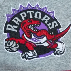 Men Mitchell & Ness Hoodies & Sweatshirts-Head Coach Hoodie Toronto Raptors