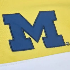 Men Mitchell & Ness Hoodies & Sweatshirts-Head Coach Hoodie University Of Michigan