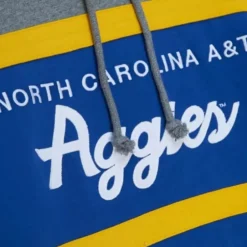 Men Mitchell & Ness Hoodies & Sweatshirts-Headcoach Hoody North Carolina A&T University