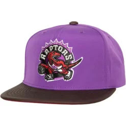 Mitchell & Ness Snapback-Heat Up Snapback Hwc Toronto Raptors