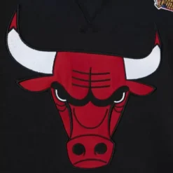 Men Mitchell & Ness Hoodies & Sweatshirts-Heavyweight Fleece Hoodie Chicago Bulls