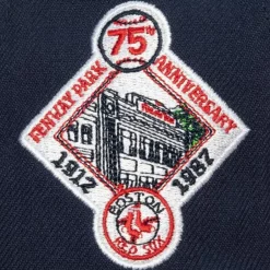 Mitchell & Ness Fitted-Homefield Fitted Coop Boston Red Sox