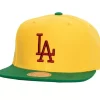 Mitchell & Ness Snapback-Hometown Snapback Coop Los Angeles Dodgers