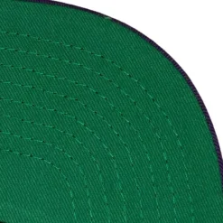 Mitchell & Ness Snapback-Hot Fire Snapback Hwc Milwaukee Bucks