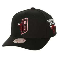 Mitchell & Ness Snapback-Icon Grail Pro Snapback Chicago Bulls