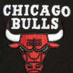 Mitchell & Ness Snapback-Icon Grail Pro Snapback Chicago Bulls