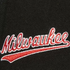 Mitchell & Ness Snapback-Icon Grail Pro Snapback Hwc Milwaukee Bucks