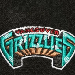 Mitchell & Ness Snapback-Icon Grail Pro Snapback Hwc Vancouver Grizzlies