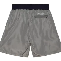 Men Mitchell & Ness Shorts-Insignia Shorts Detroit Tigers