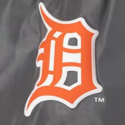 Men Mitchell & Ness Shorts-Insignia Shorts Detroit Tigers