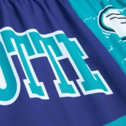 Men Mitchell & Ness Shorts-Jumbotron 3.0 Shorts Charlotte Hornets