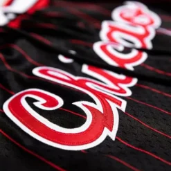 Mitchell & Ness Just Don-Just Don 10Th Year Anniversary Shorts Chicago Bulls 1996