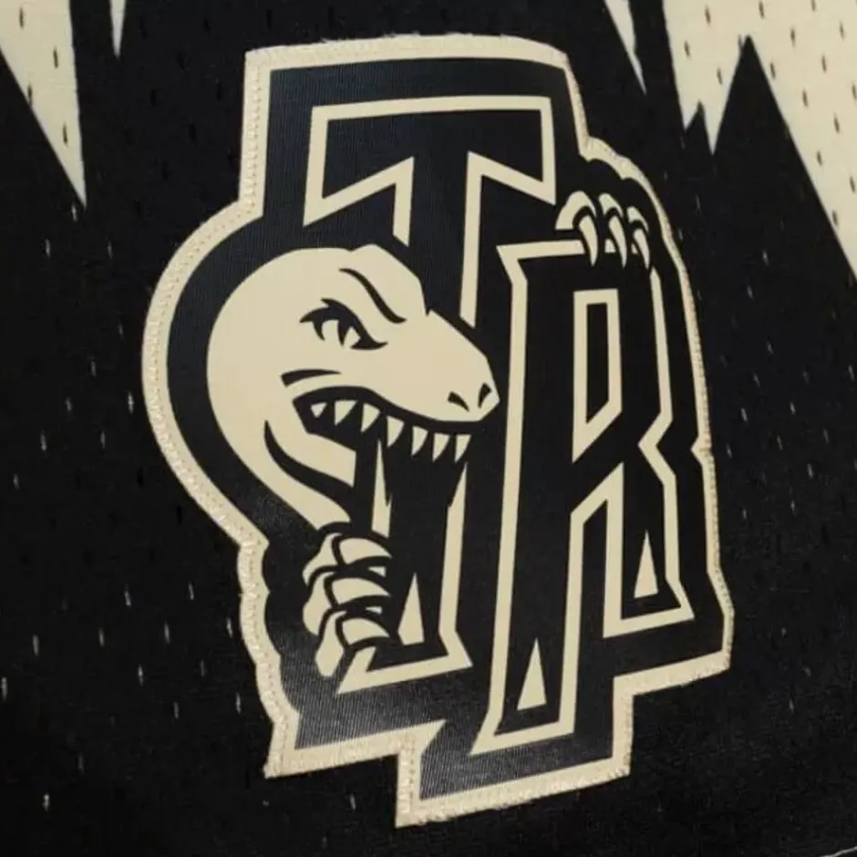 Men Mitchell & Ness Shorts-Khaki Black Swingman Toronto Raptors 1998-99 Shorts