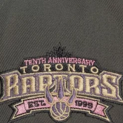 Mitchell & Ness Fitted-Lavender Dreams Fitted Hwc Toronto Raptors