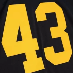 Mitchell & Ness Nfl Legacy-Legacy Troy Polamalu Pittsburgh Steelers Alternate 2008 Jersey