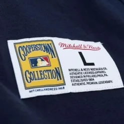 Men Mitchell & Ness T-Shirts & Tops-Legendary Slub Henley Chicago White Sox