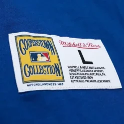 Men Mitchell & Ness T-Shirts & Tops-Legendary Slub Henley Los Angeles Dodgers