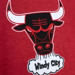 Men Mitchell & Ness T-Shirts & Tops-Legendary Slub Longsleeve Chicago Bulls