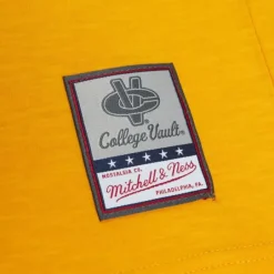 Men Mitchell & Ness T-Shirts & Tops-Legendary Slub Ls Tee Florida State University