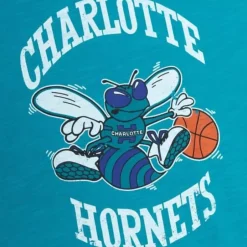 Men Mitchell & Ness T-Shirts & Tops-Legendary Slub Ss Tee Charlotte Hornets