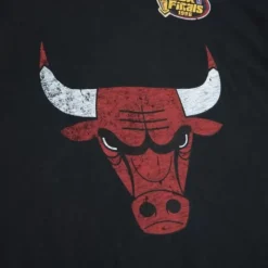 Men Mitchell & Ness T-Shirts & Tops-Legendary Slub S/S Tee Chicago Bulls