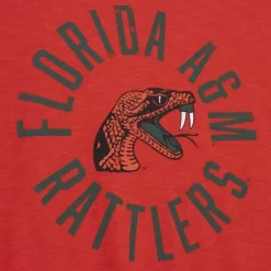 Men Mitchell & Ness T-Shirts & Tops-Legendary Slub S/S Tee Florida A&M University