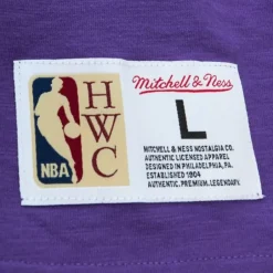 Men Mitchell & Ness T-Shirts & Tops-Legendary Slub S/S Tee Toronto Raptors