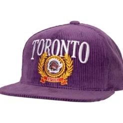 Mitchell & Ness Snapback-Levelz Snapback Hwc Toronto Raptors