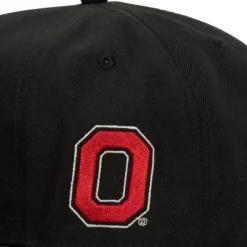 Mitchell & Ness Fitted-Lifestyle Fitted Hat Ohio State