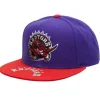 Mitchell & Ness Snapback-Logo Bill Snapback Hwc Toronto Raptors