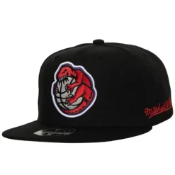 Mitchell & Ness Fitted-Logo History Fitted Hwc Toronto Raptors