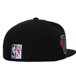 Mitchell & Ness Fitted-Logo History Fitted Hwc Toronto Raptors