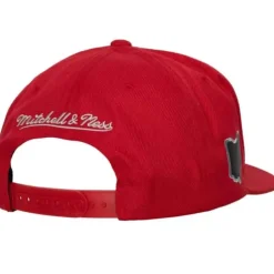 Mitchell & Ness Snapback-Mellow Fall Snapback Ohio State