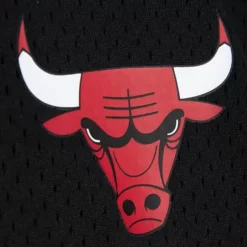 Men Mitchell & Ness T-Shirts & Tops-Mesh 1/4 Zip Chicago Bulls