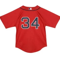 Youth Mitchell & Ness Big Kids-Mesh Bp Jersey Boston Red Sox 2004 David Ortiz