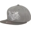 Mitchell & Ness Snapback-Metallic Grey Snapback Hwc Charlotte Hornets