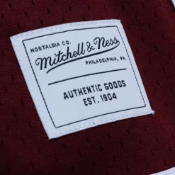 Mitchell & Ness M&N Brand-Game Day 2.0 Shorts