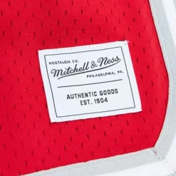 Mitchell & Ness M&N Brand-Game Day Shorts