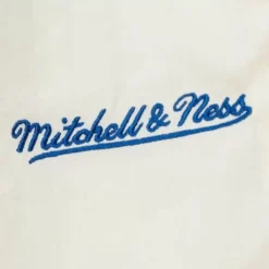 Mitchell & Ness M&N Brand-Nylon Shorts