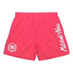 Mitchell & Ness M&N Brand-Team Essentials Nylon Shorts