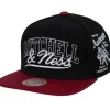 Mitchell & Ness Snapback-Varsity Snapback