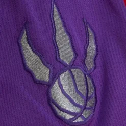 Men Mitchell & Ness Shorts-M&N X Ovo Swingman Toronto Raptors Shorts