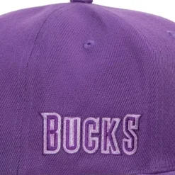Mitchell & Ness Snapback-Monochromatic Snapback Hwc Milwaukee Bucks
