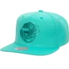 Mitchell & Ness Snapback-Monochromatic Snapback Hwc Vancouver Grizzlies