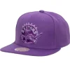 Mitchell & Ness Snapback-Monochromatic Snapback Hwc Toronto Raptors