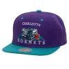 Mitchell & Ness Snapback-Monument Snapback Hwc Charlotte Hornets